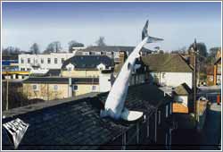 Click to view this image in a separate window (24.63K, 5sec @ 56.6Kbps)